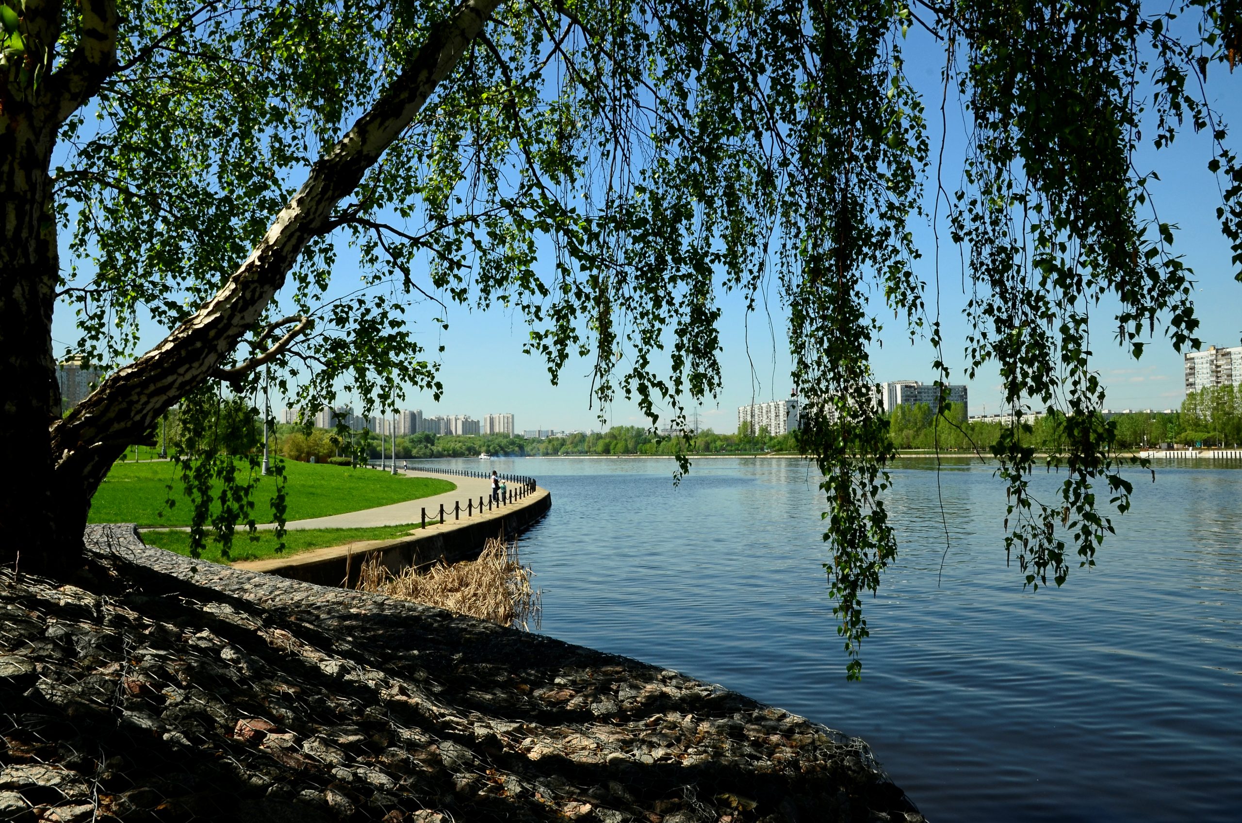 Новую зону для пешеходов построят в Москворечье-Сабурово. Фото: Анна Быкова