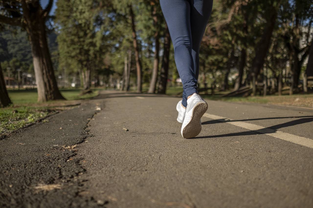 Забеги parkrun возобновят в парке «Царицыно»