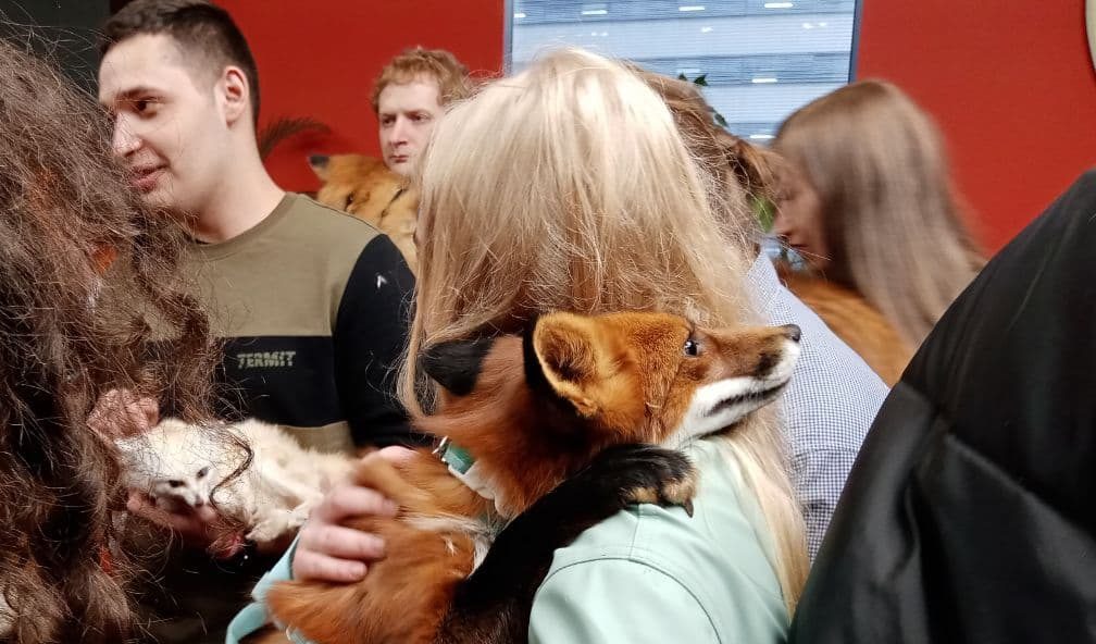 Новый друг человека: фестиваль домашних лисиц провели в Москве