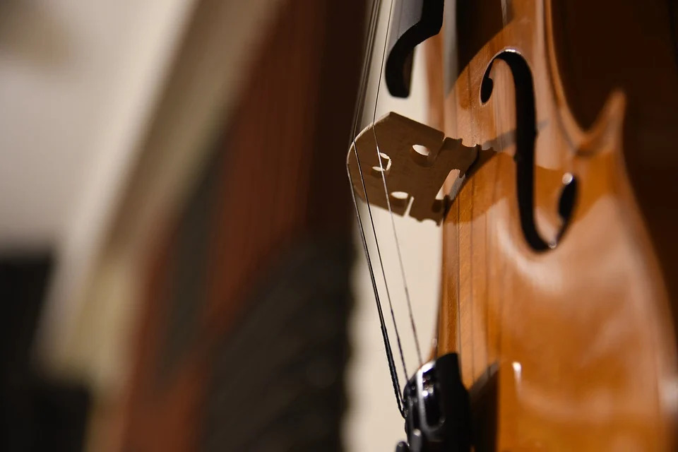 Скрипичный концерт состоится в библиотеке Нагатинского Затона