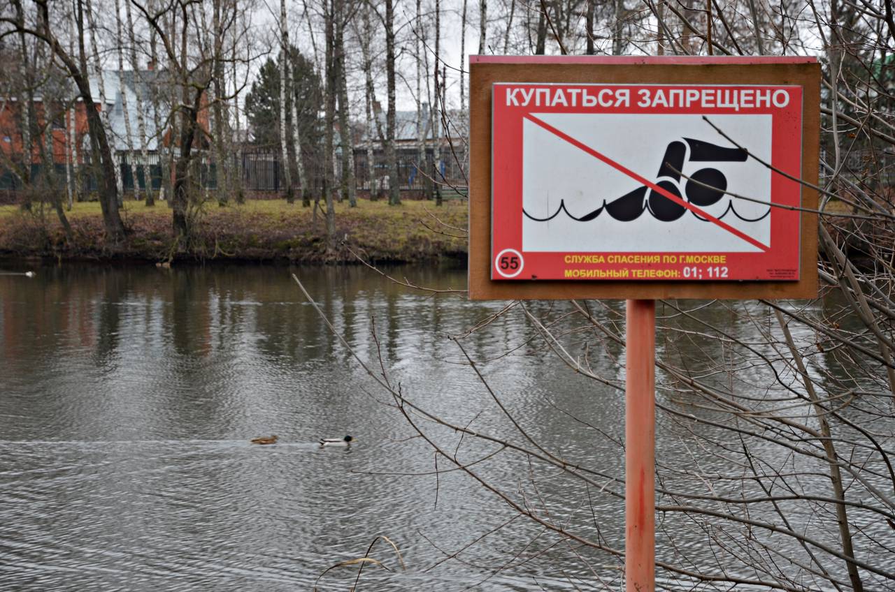 Знаки «Купаться запрещено» заменили на Царицынских и Борисовских прудах