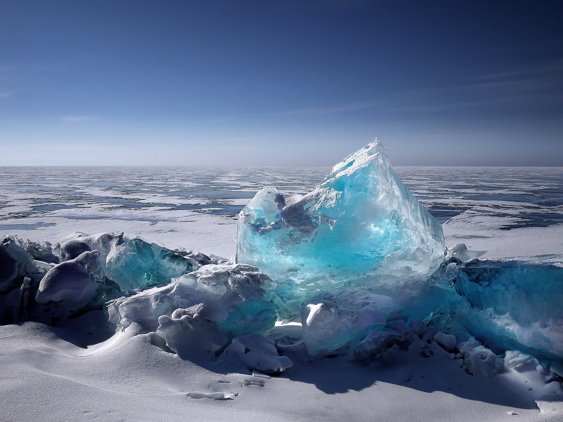Подвиг во льдах: кинопоказ организуют в Дарвиновском музее