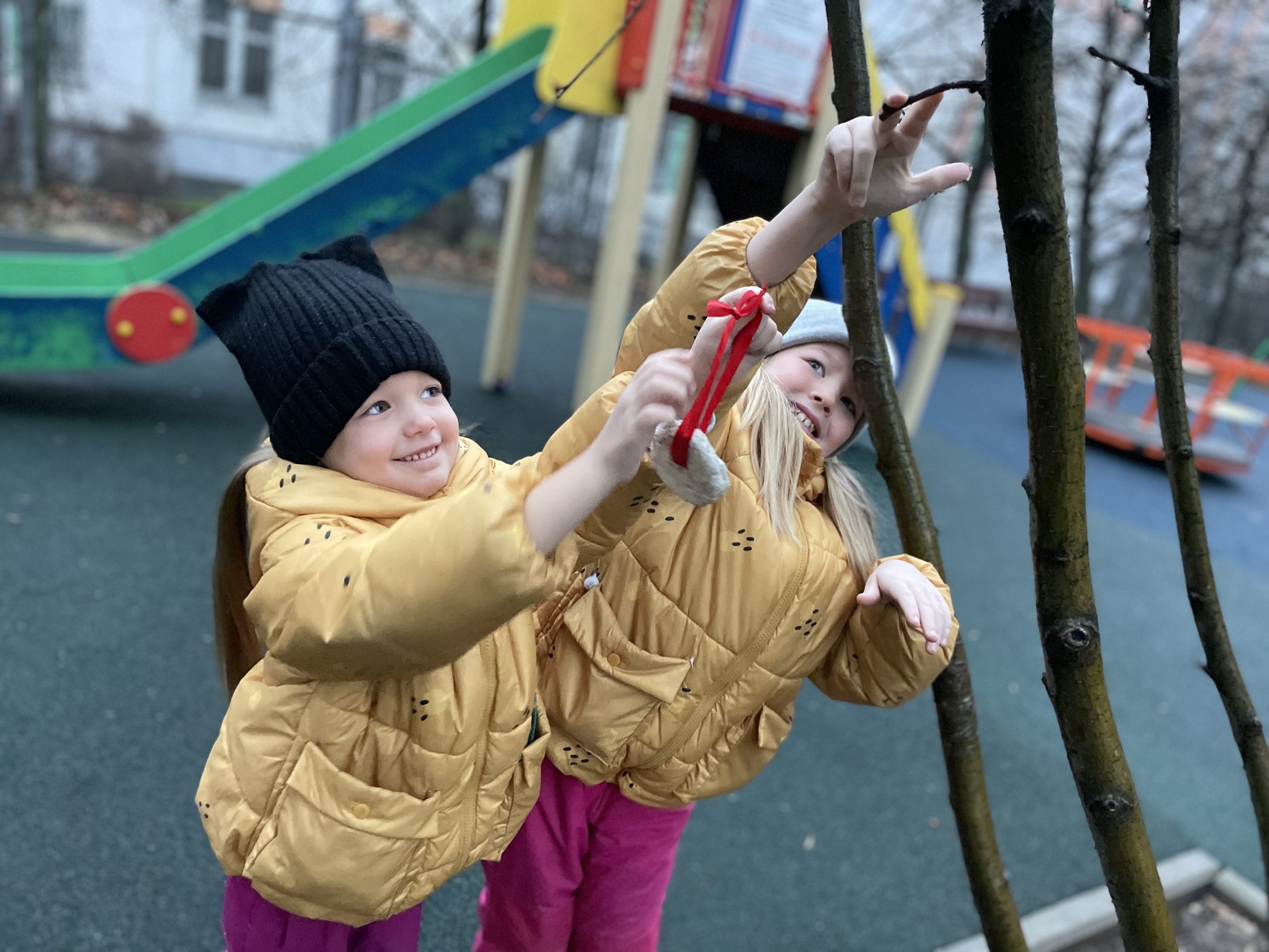 Птицам готовим особое печенье