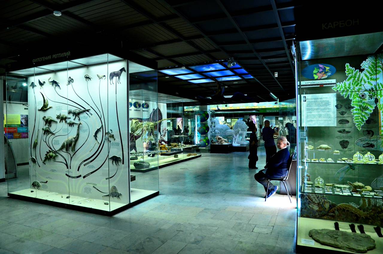 Очень красиво: в Дарвиновском музее анонсировали новые выставки