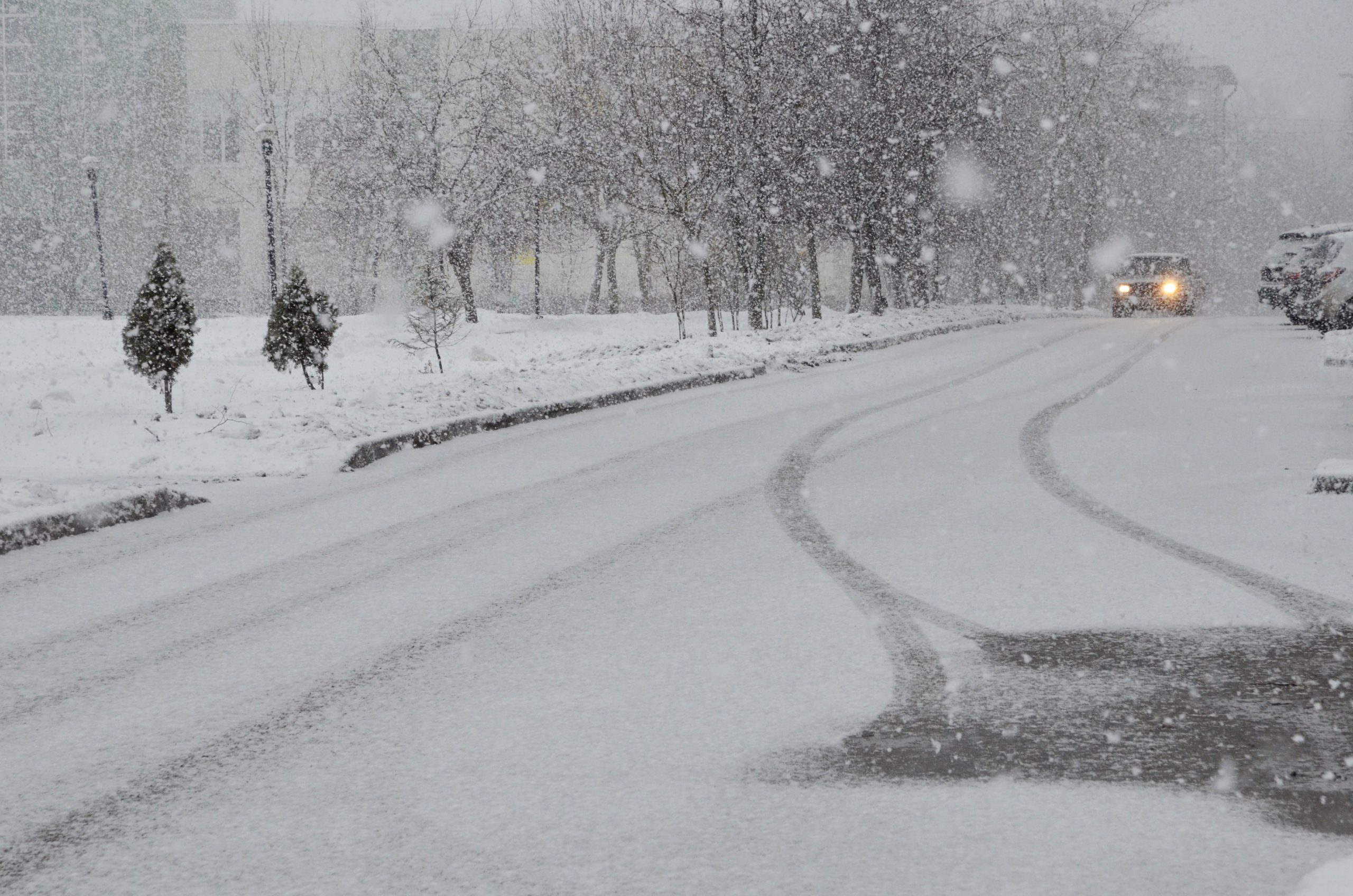 Снегопад и метель: циклон бушует в столичном регионе. Фото: Анна Быкова