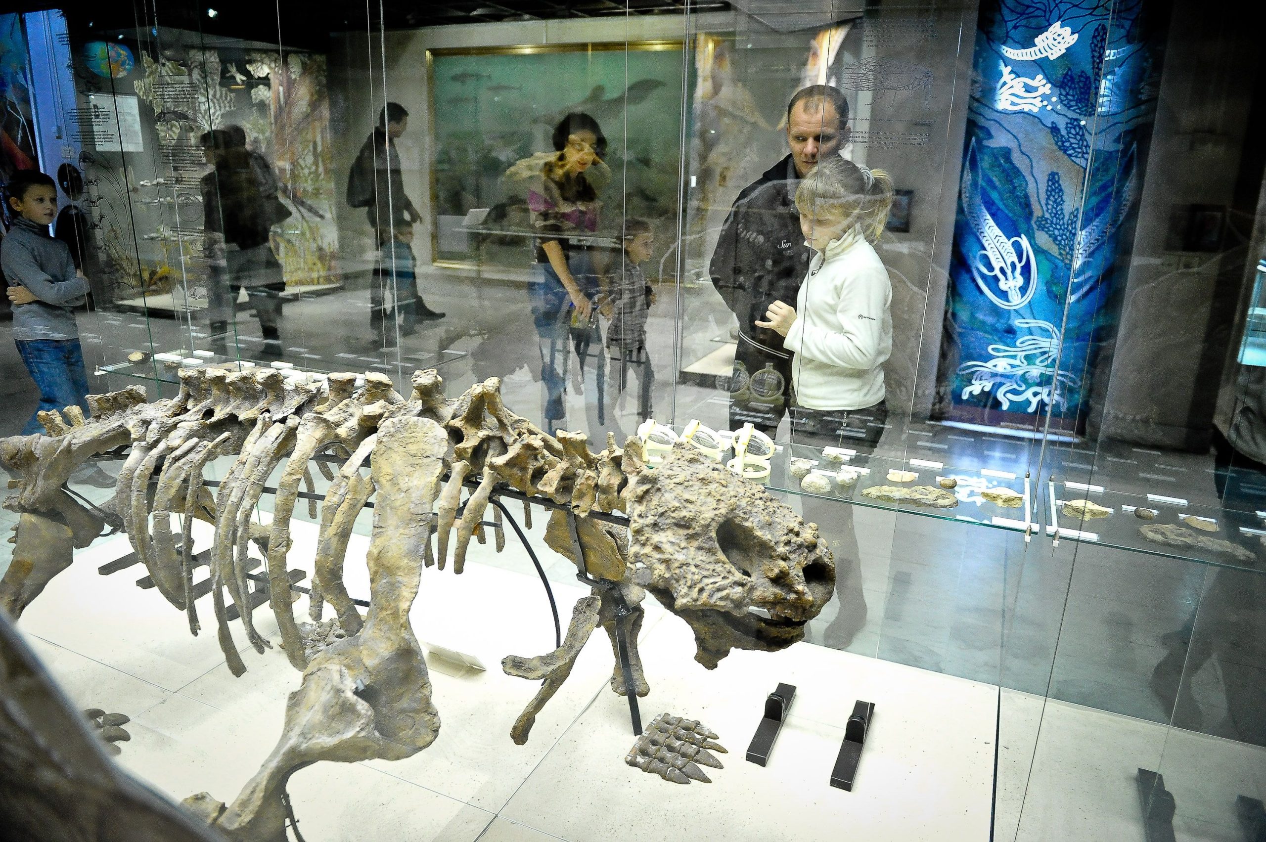 Рождение и эволюция: квест проведут в Дарвиновском музее
