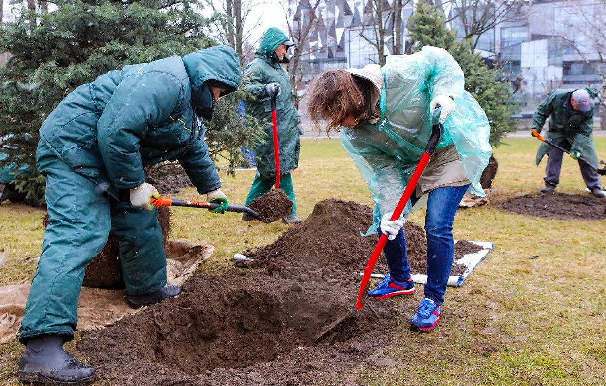 Общегородской субботник прошел в Москве