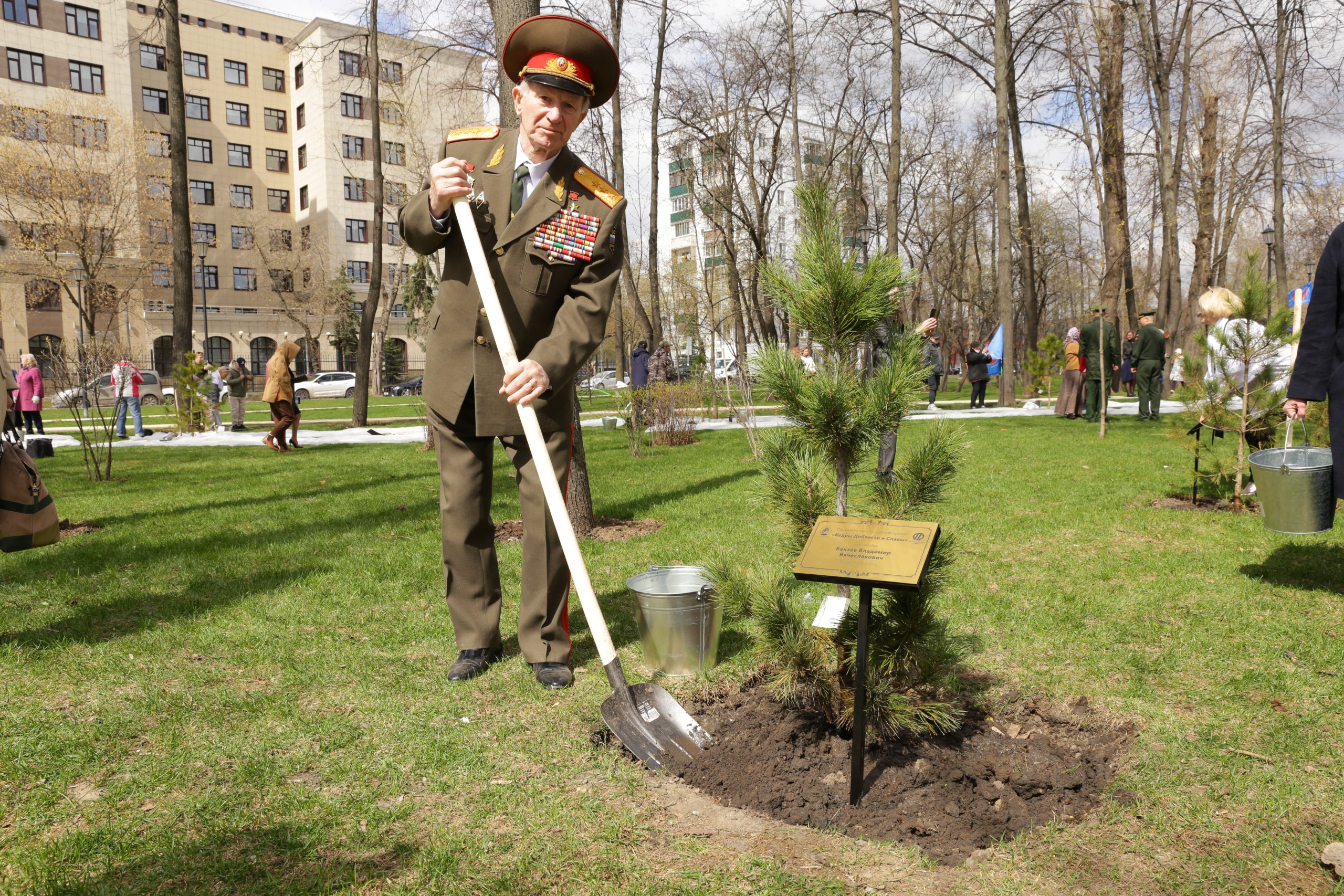 Высадили аллею доблести и славы