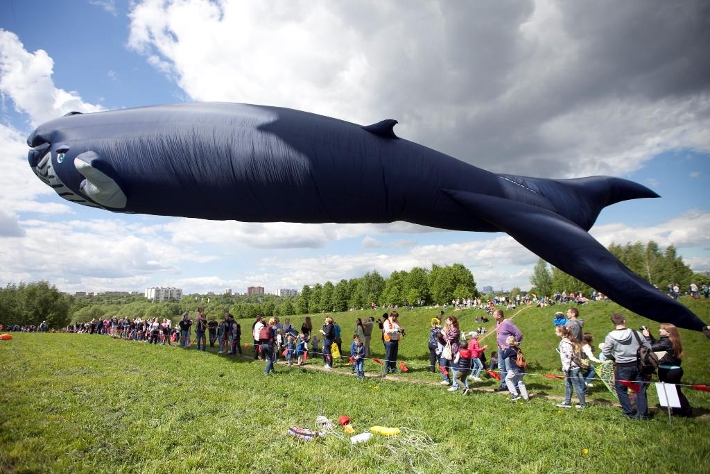 Пестрое небо: фестиваль воздушных змеев организуют в «Царицыне»