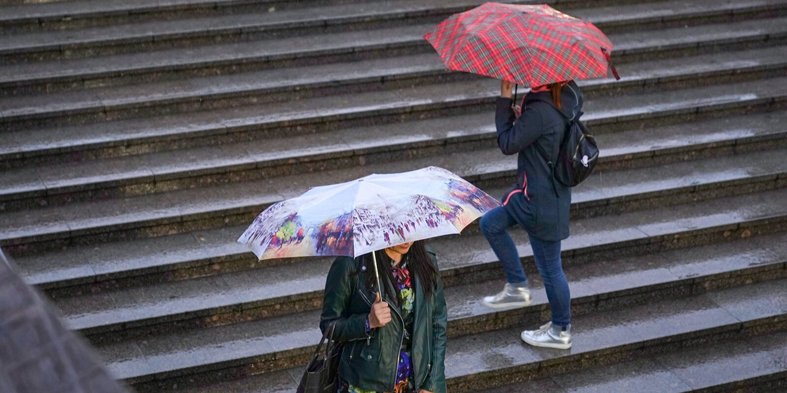 Дождь ожидается в Москве и Подмосковье в понедельник