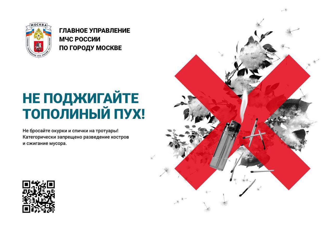 Тополиный пух может быть опасен!!!