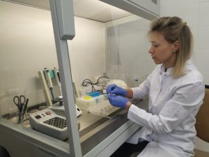 На фото Валентина Иванченко, лаборант-исследователь центрифугирует плазму крови и выделяет ДНК. Фото: Надежда Фото: Надежда Ходарева