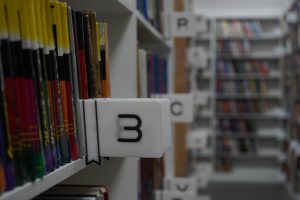 Все книги, представленные в подборке можно забронировать в сервисе «Библиотеки Москвы». Фото: Анна Быкова, «Вечерняя Москва»