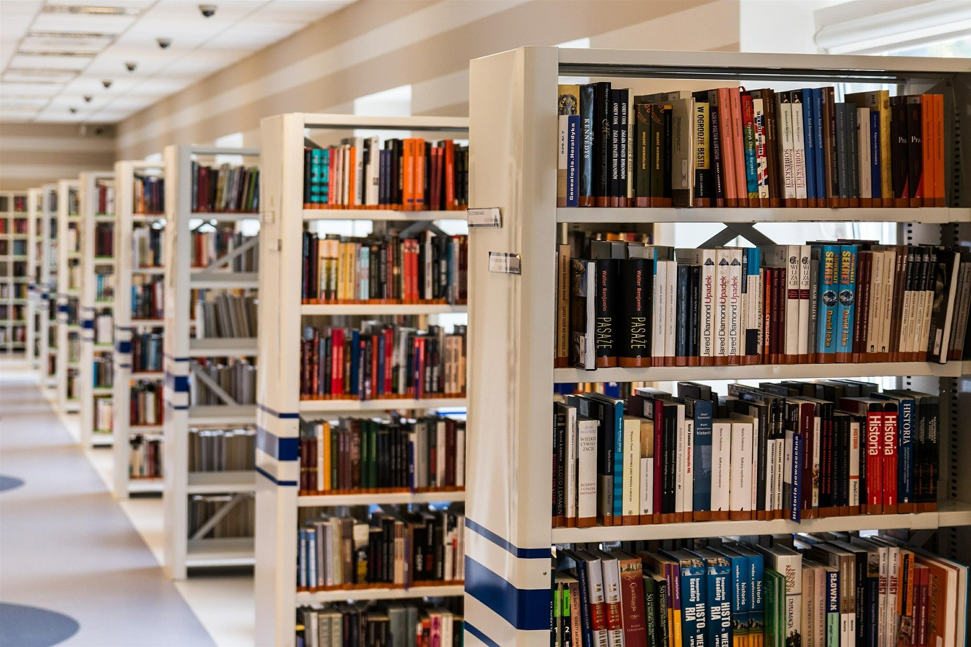 Советы библиотекаря: наиболее подходящие книги для детей подготовили работники читален Москвы. Фото: pixabay.com
