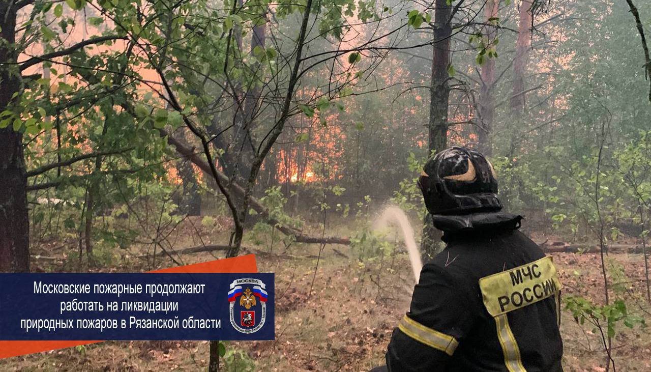 Московские пожарные продолжают работать на ликвидации природных пожаров в Рязанской области