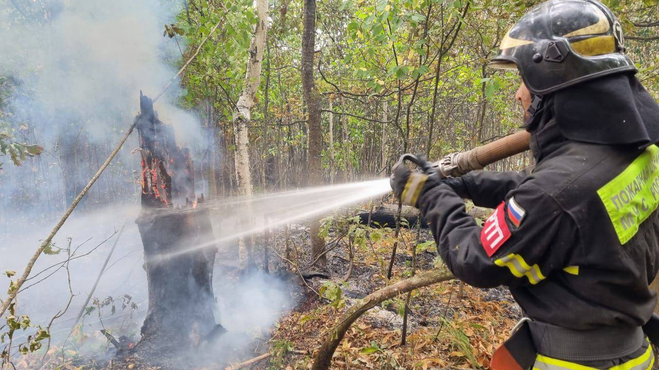 Пожарные МЧС Москвы продолжают помогать коллегам в Рязанской области