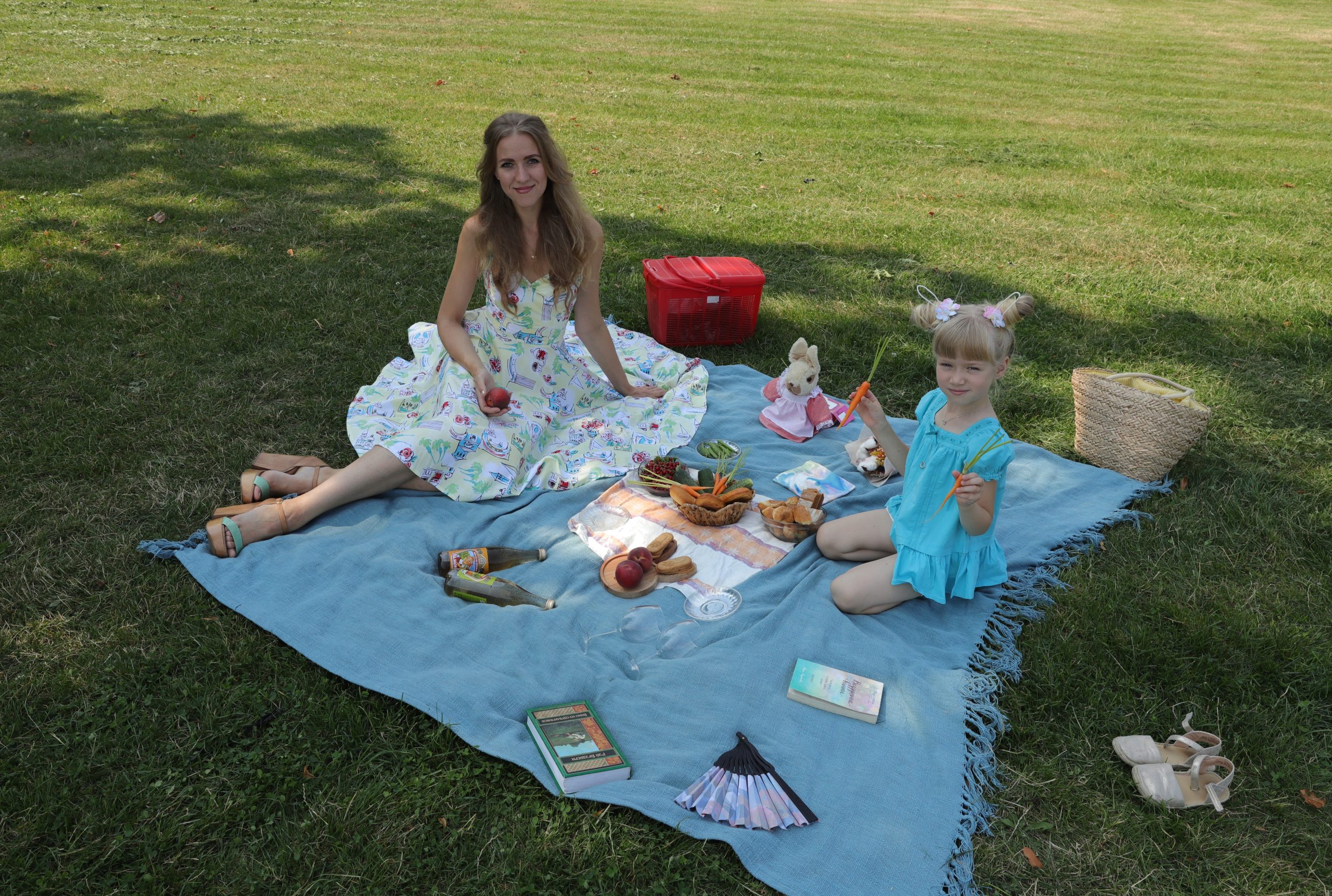 Фотофакт: пикник на траве