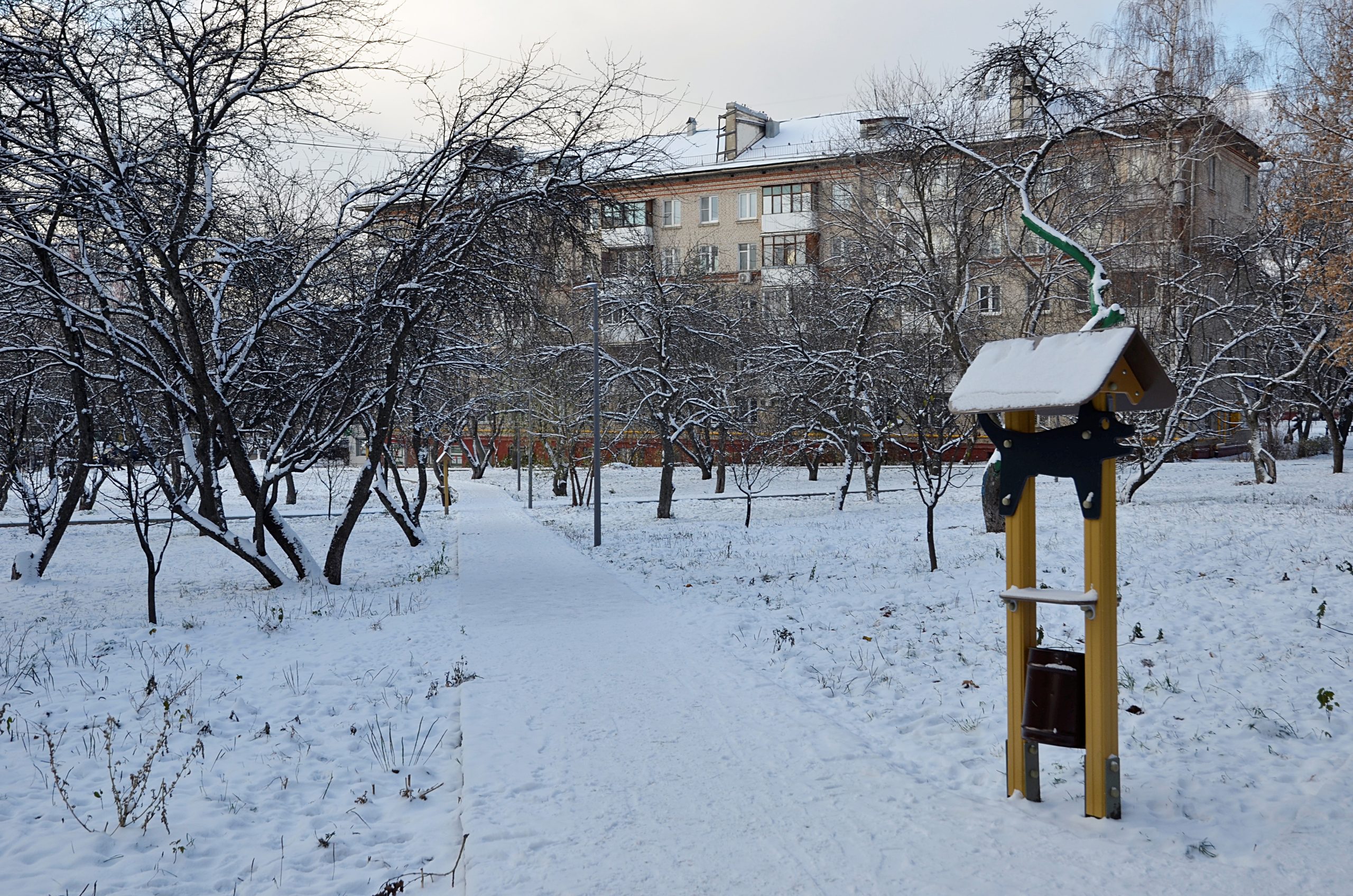 Мороз спрогнозировали в Москве 19 ноября