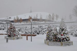 Температура воздуха в Москве и области поднимется до 3 градусов. Фото: Анна Быкова, «Вечерняя Москва»