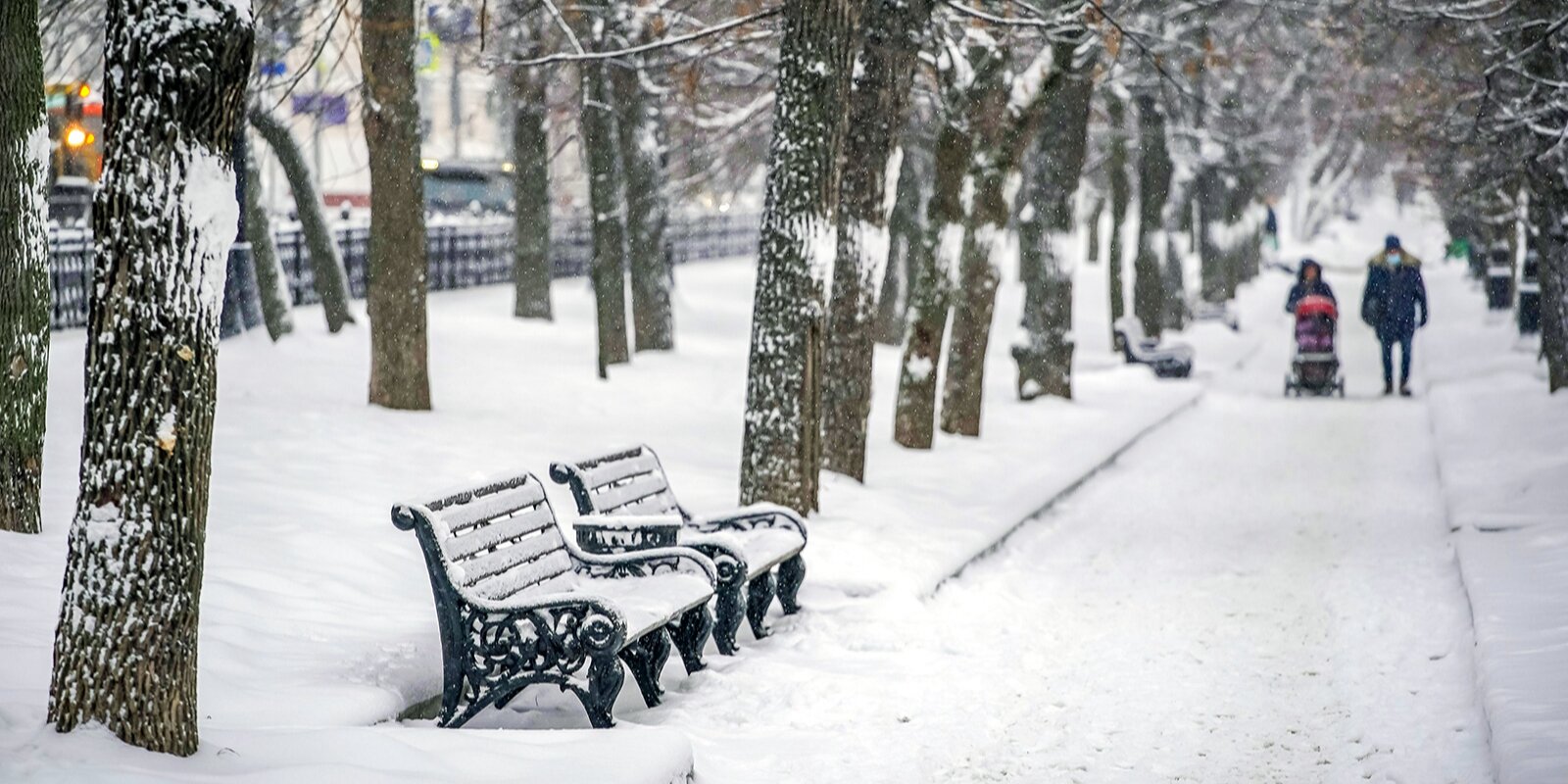 Снегопад и пасмурную погоду пообещали в Москве в воскресенье