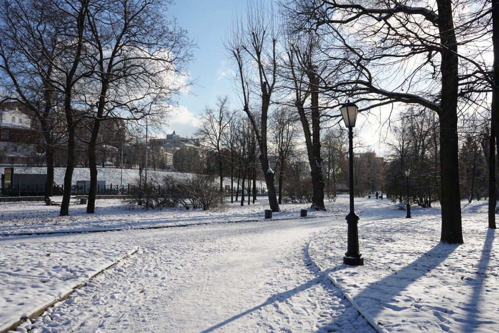 Облачная и снежная погода ожидает москвичей в пятницу. Фото: Анна Быкова, «Вечерняя Москва»