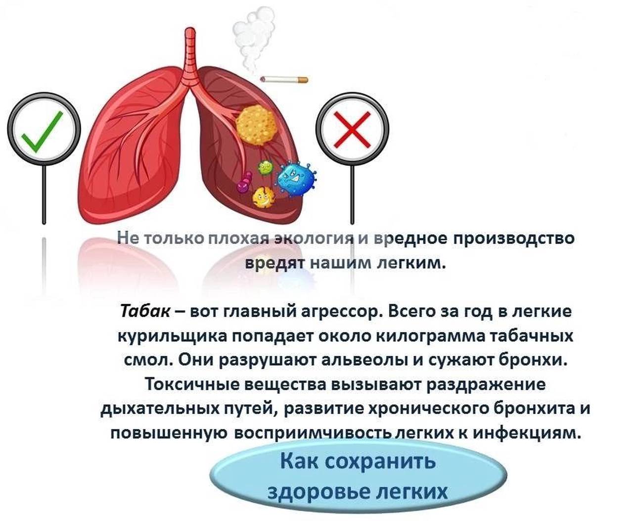 Всемирный день борьбы с астмой отпразднуют 3 мая
