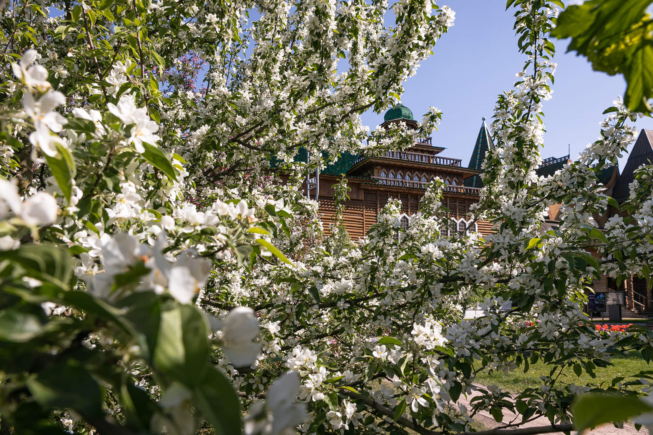 Красивый вид, или Фестиваль «Коломенские яблоки» состоится в музее-заповеднике