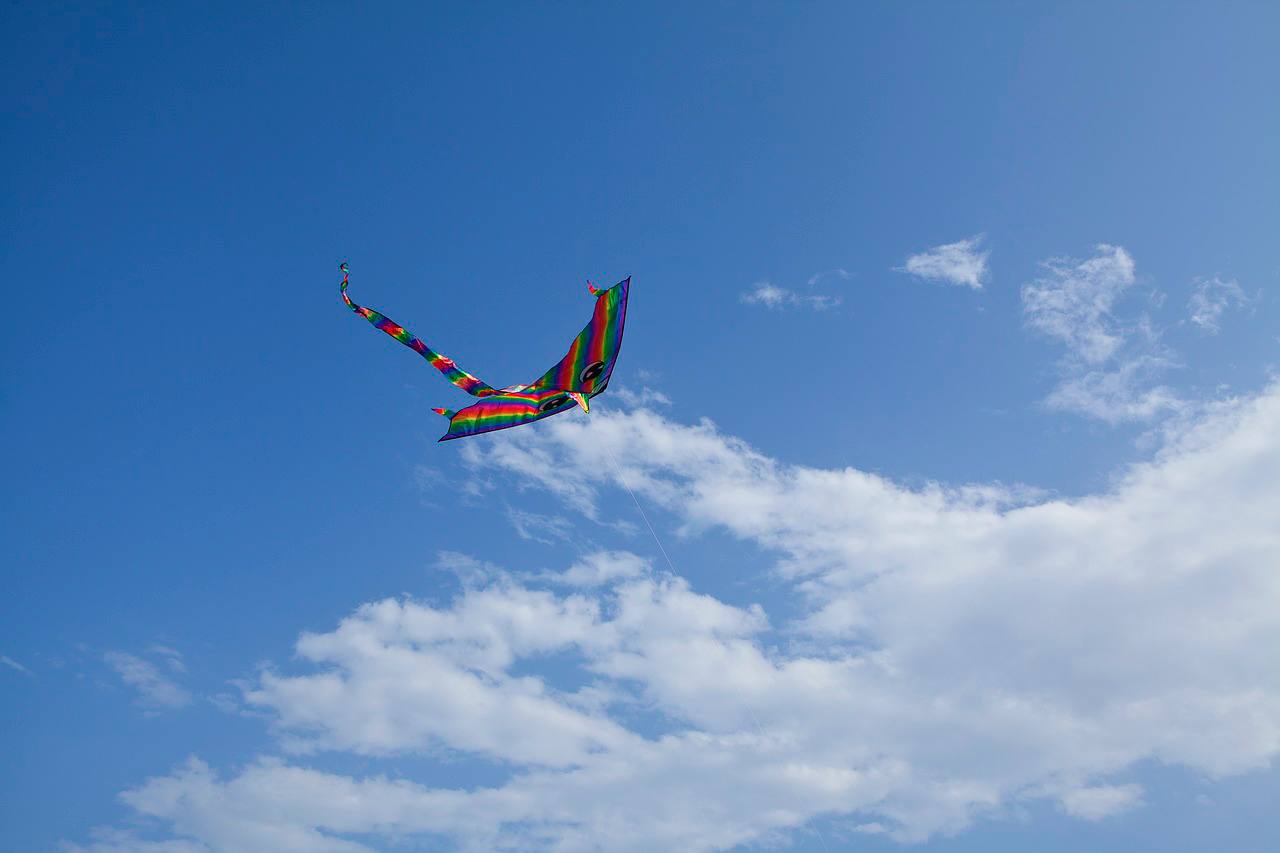 Пестрое небо: фестиваль воздушных змеев пройдет в МЗ «Царицыно»