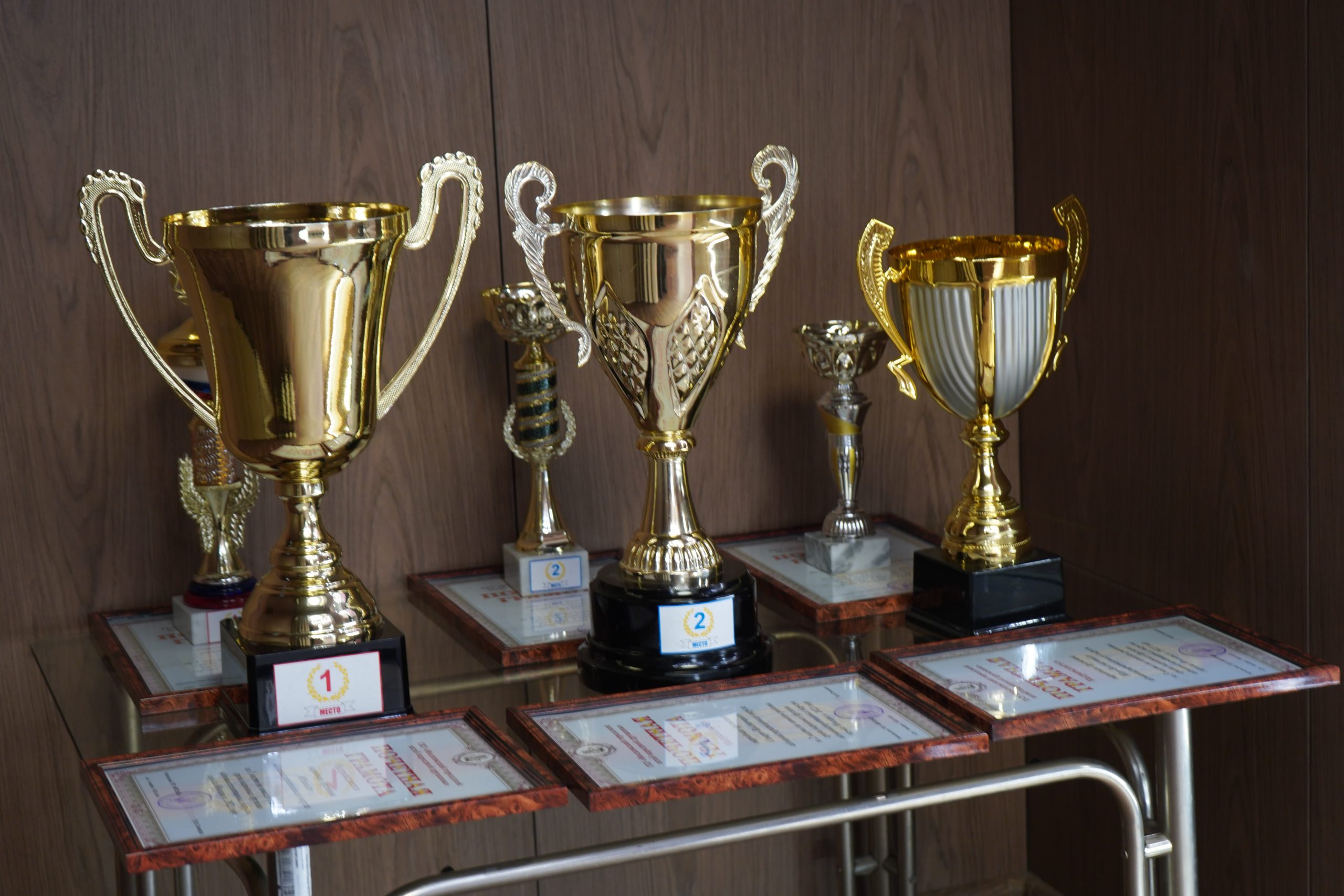 Разработчики и победители: Студенты колледжа «Царицыно» завоевал золото на Чемпионате по профессиональному мастерству