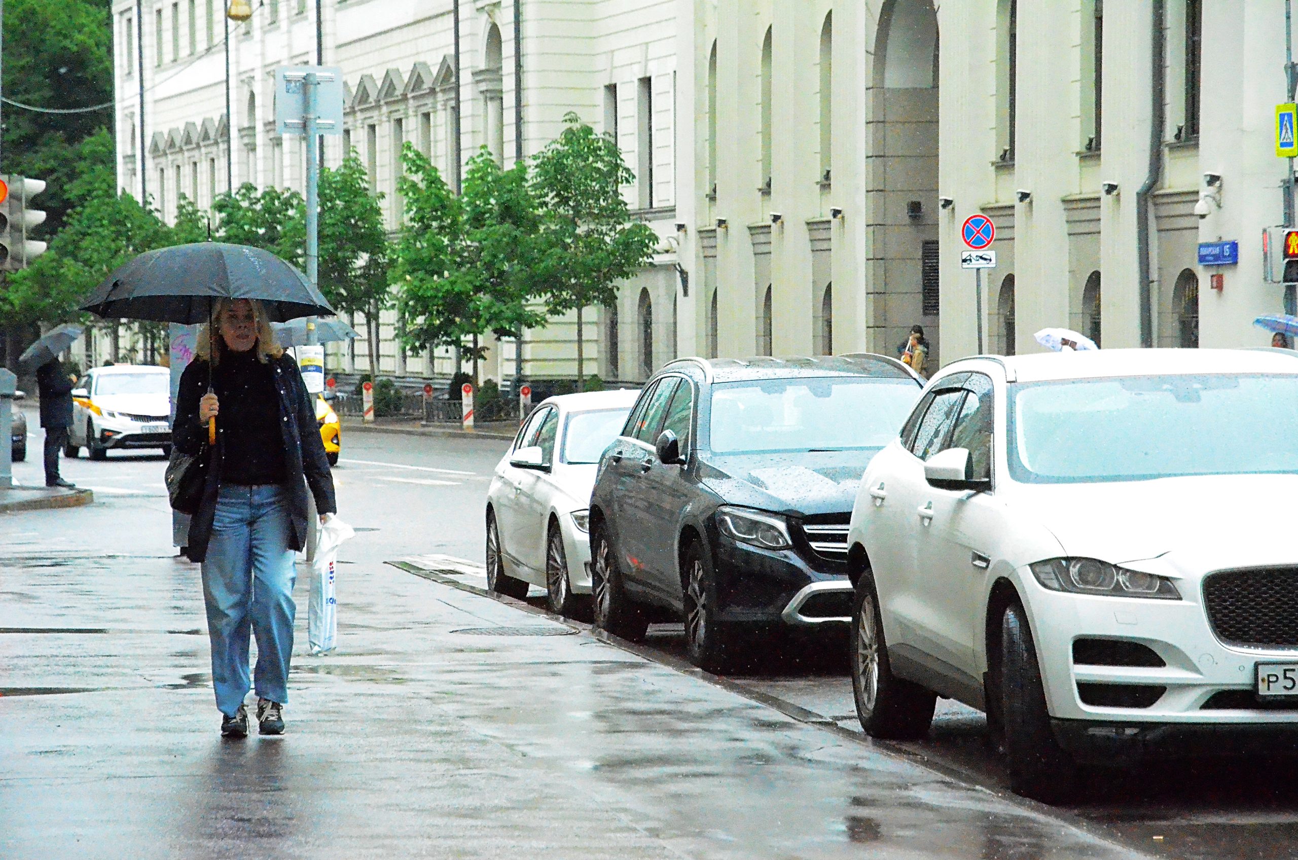 Синоптики предупредили москвичей о грозовых дождях в воскресенье