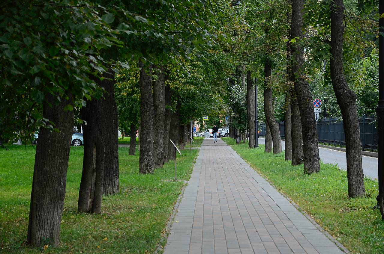 Озеленение юга, или В управе Царицына предоставили информацию о посадке деревьев в районе