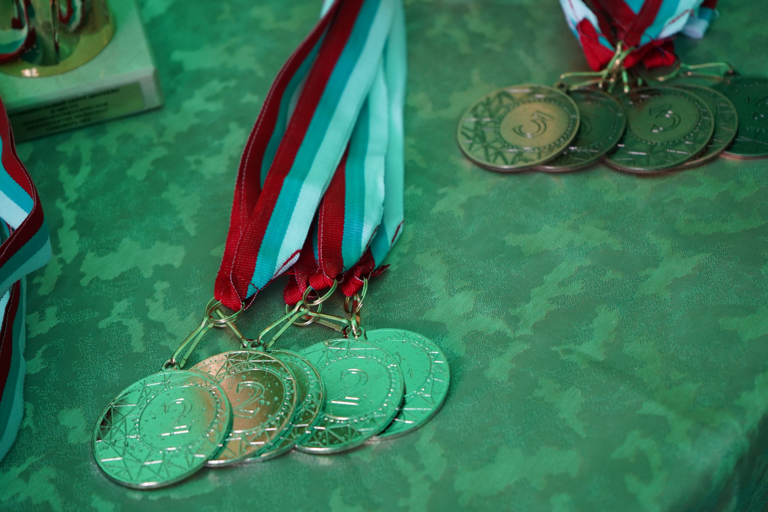 Вернулась с медалью, или Воспитанница МКСШОР «Юг» завоевала серебряную медаль на «II Играх стран СНГ»