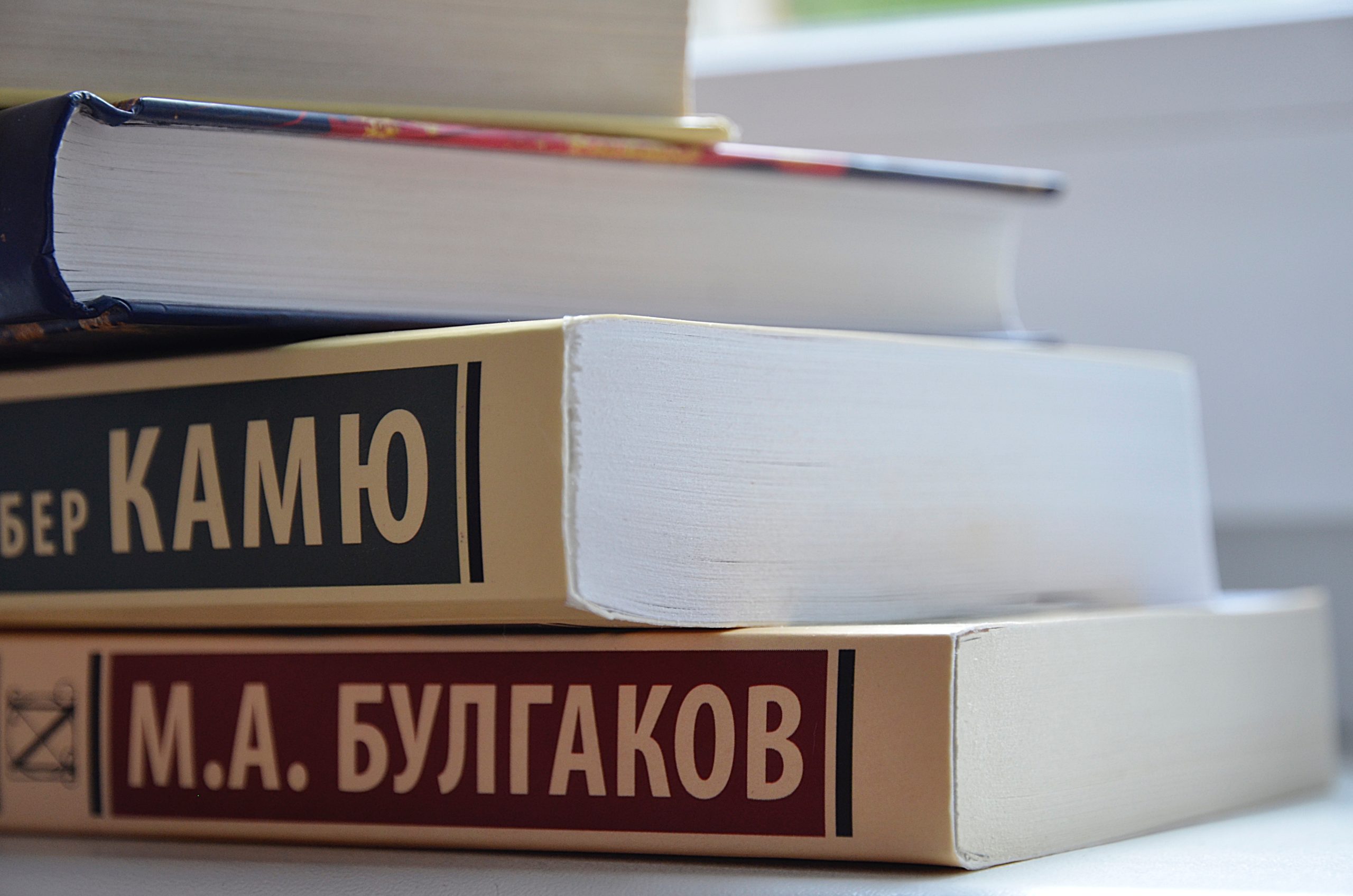 Сервисом «Библиотеки Москвы» воспользовались более 33 тысяч раз
