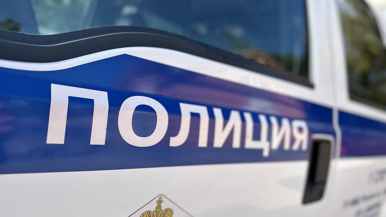 Столичные полицейские совместно с коллегами из Тульской области задержали подозреваемых в краже у пенсионерки
