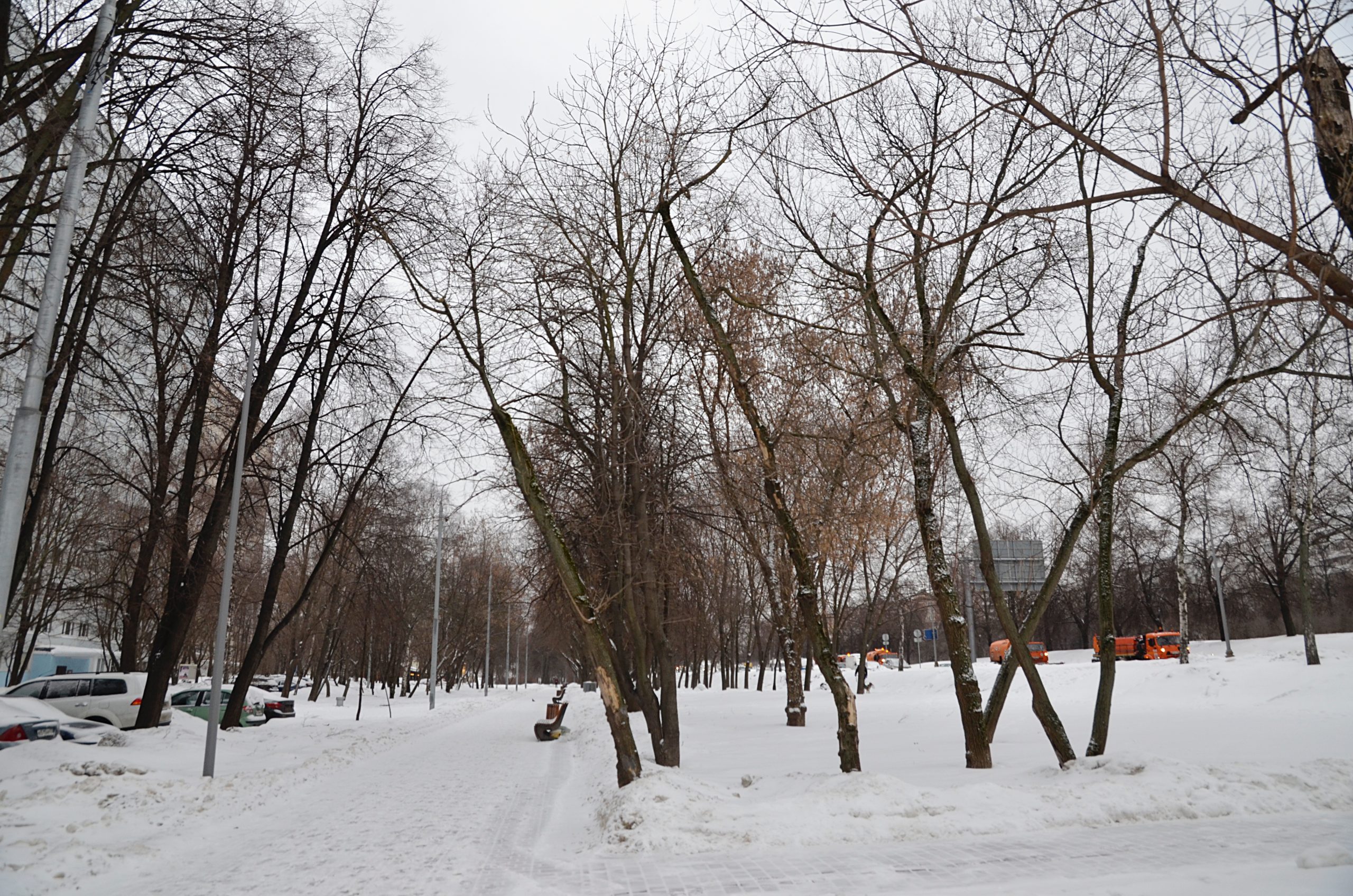 Синоптики спрогнозировали облачную и снежную погоду в Москве в воскресенье. Фото: Анна Быкова, «Вечерняя Москва»