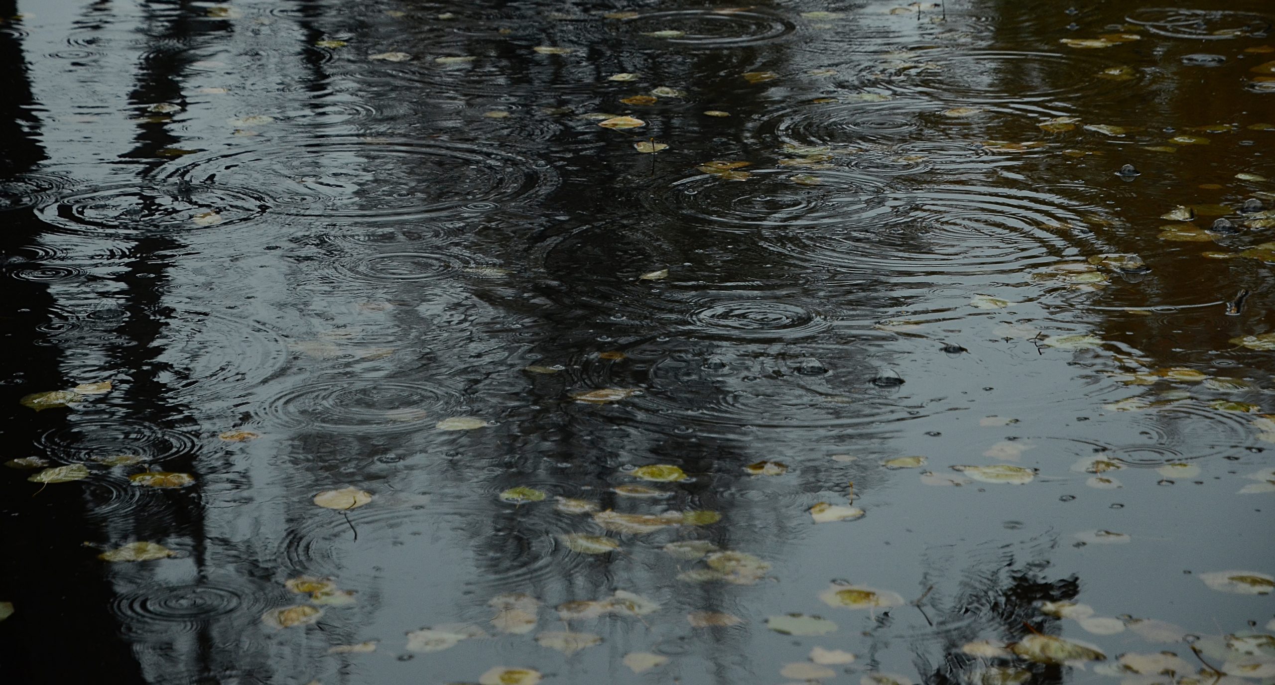 Жителей столичного региона предупредили о кратковременных дождях
