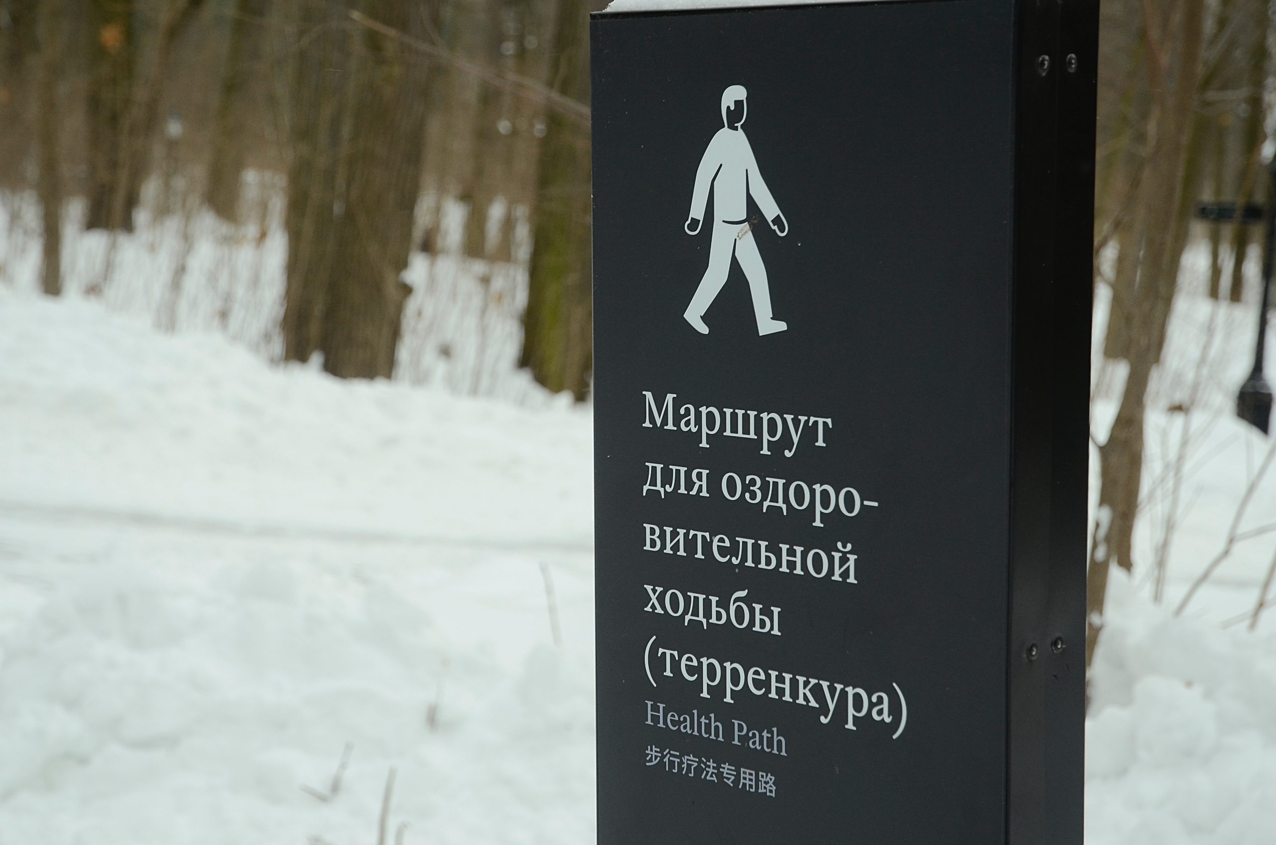 Жителям столицы предложили присоединиться к проекту «Московская ходьба»