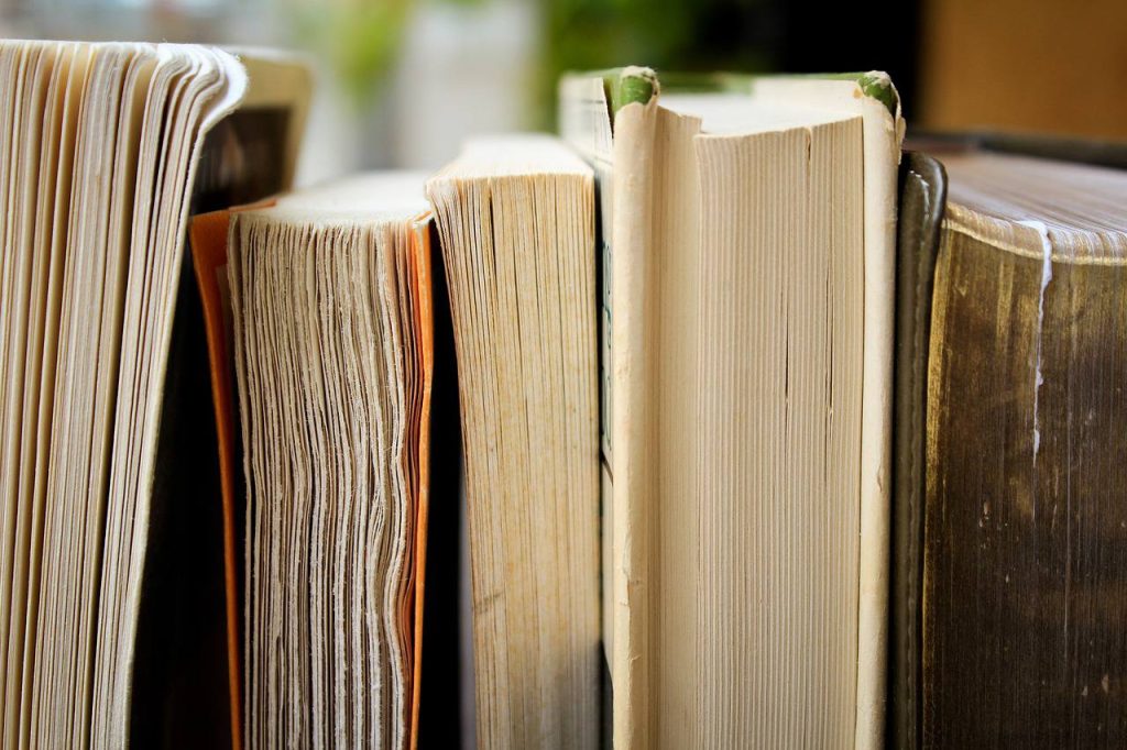 Любители литературы смогут проверить свою эрудицию и знания. Фото: pixabay.com