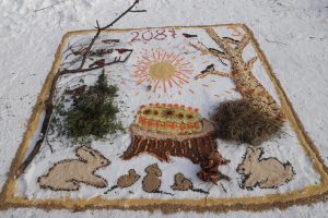 Бирюлево Восточное, картина на снегу: звери приготовили торт. Фото: Анатолий Цымбалюк, «Вечерняя Москва»