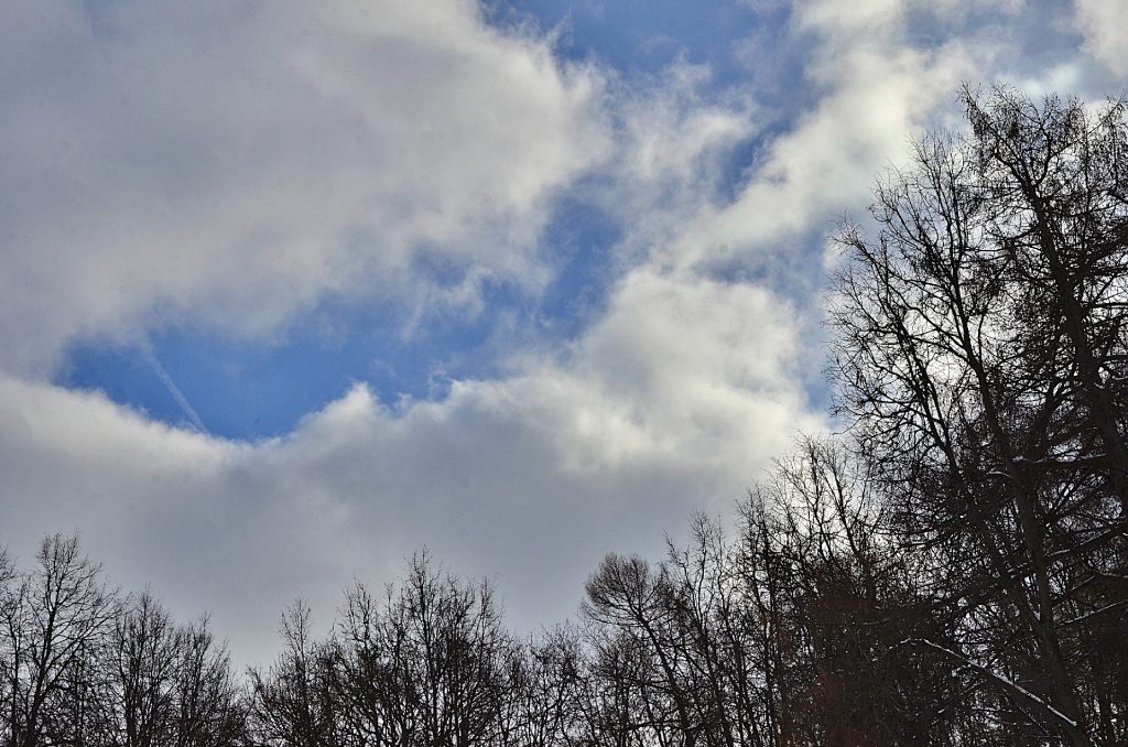 Теплая и облачная погода: синоптики рассказали о погоде в субботу. Фото: Анна Быкова, «Вечерняя Москва»