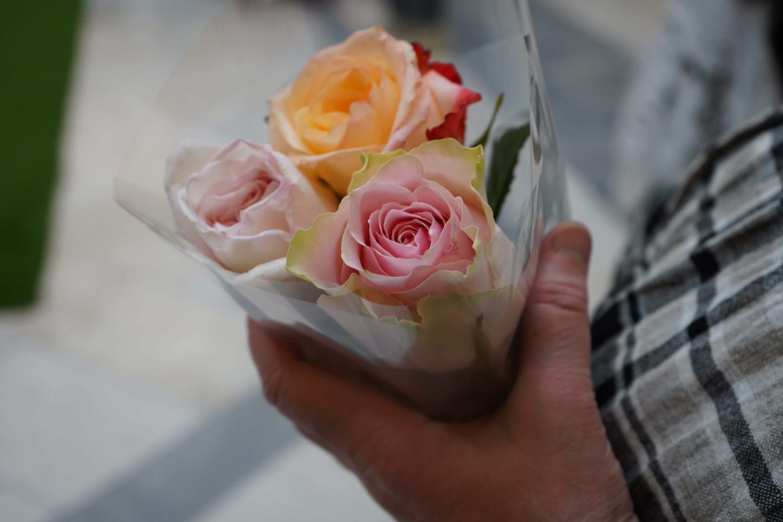 Жителям Москвы подарят цветы в честь Международного женского дня
