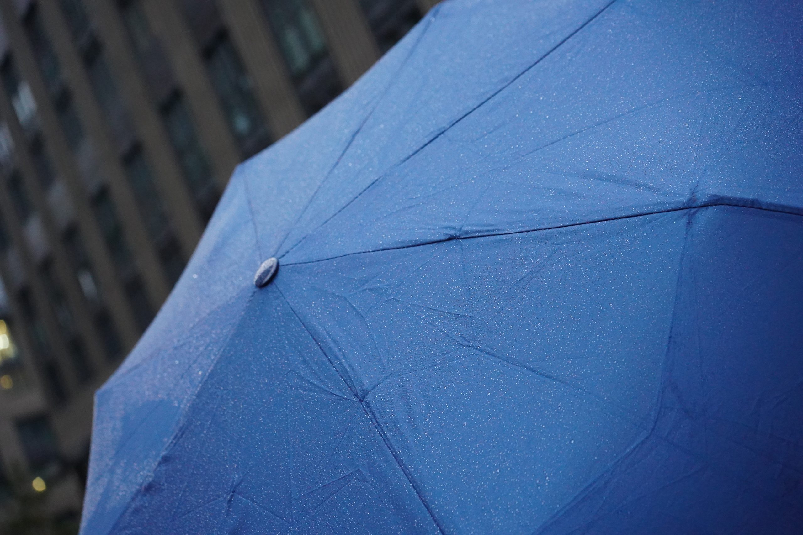 Дожди и пасмурная погода ожидаются в столице в воскресенье. Фото: Анна Быкова, «Вечерняя Москва»