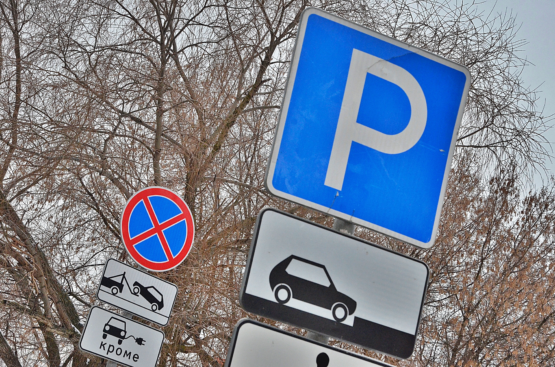 Парковки в Москве будут бесплатными в праздничные дни