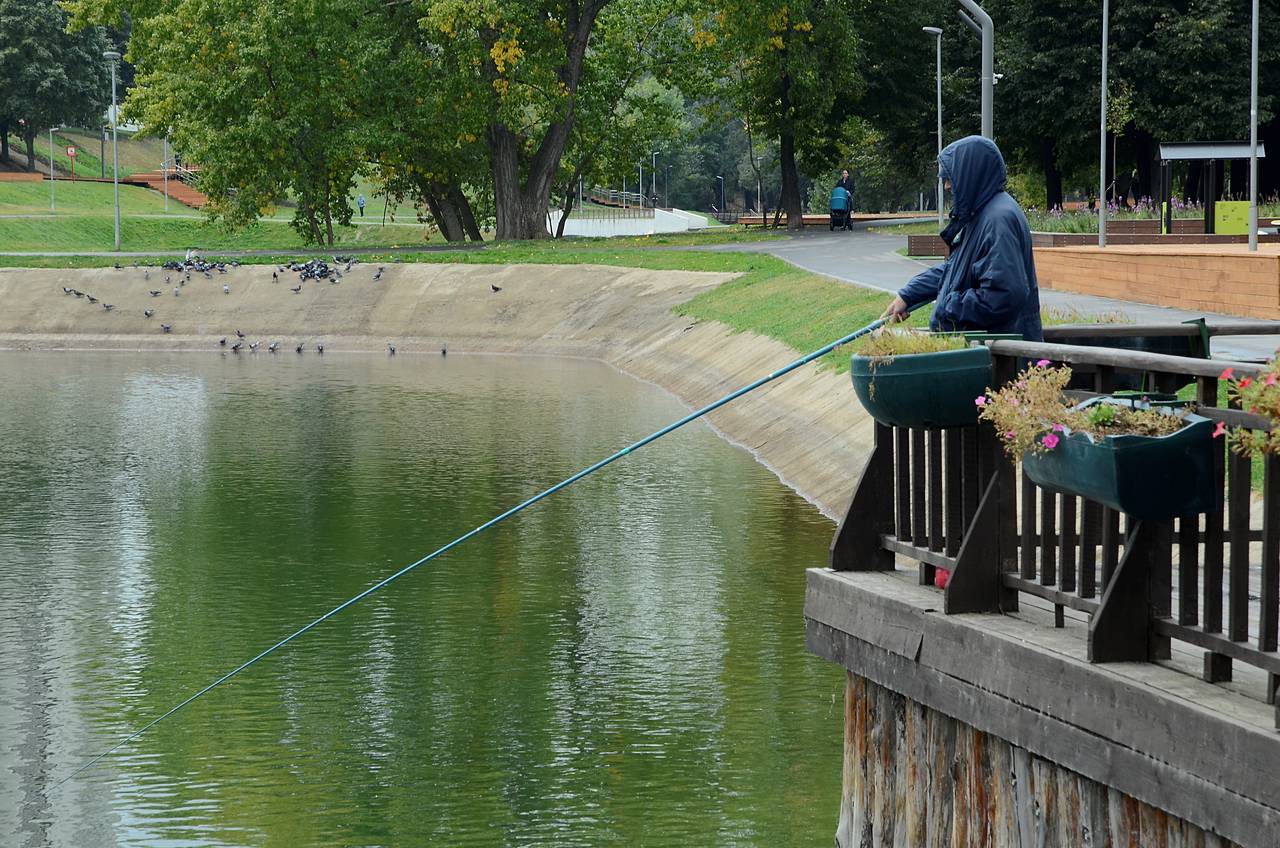 Рыболовный турнир и сап-регата пройдут на Чертановских прудах