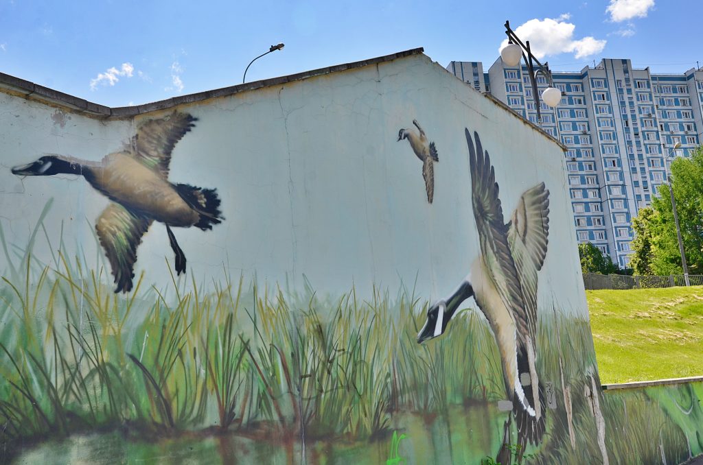 Школьники и студенты из Москвы смогут принять участие в украшении города. Фото: Анна Быкова, «Вечерняя Москва»