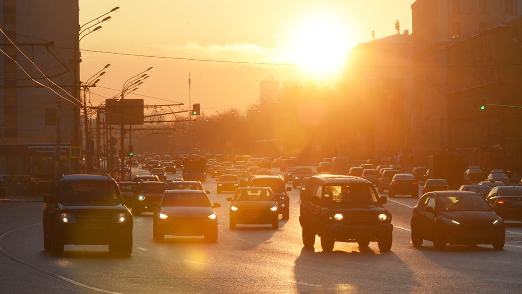 Фото: Александр Кожохин, «Вечерняя Москва»