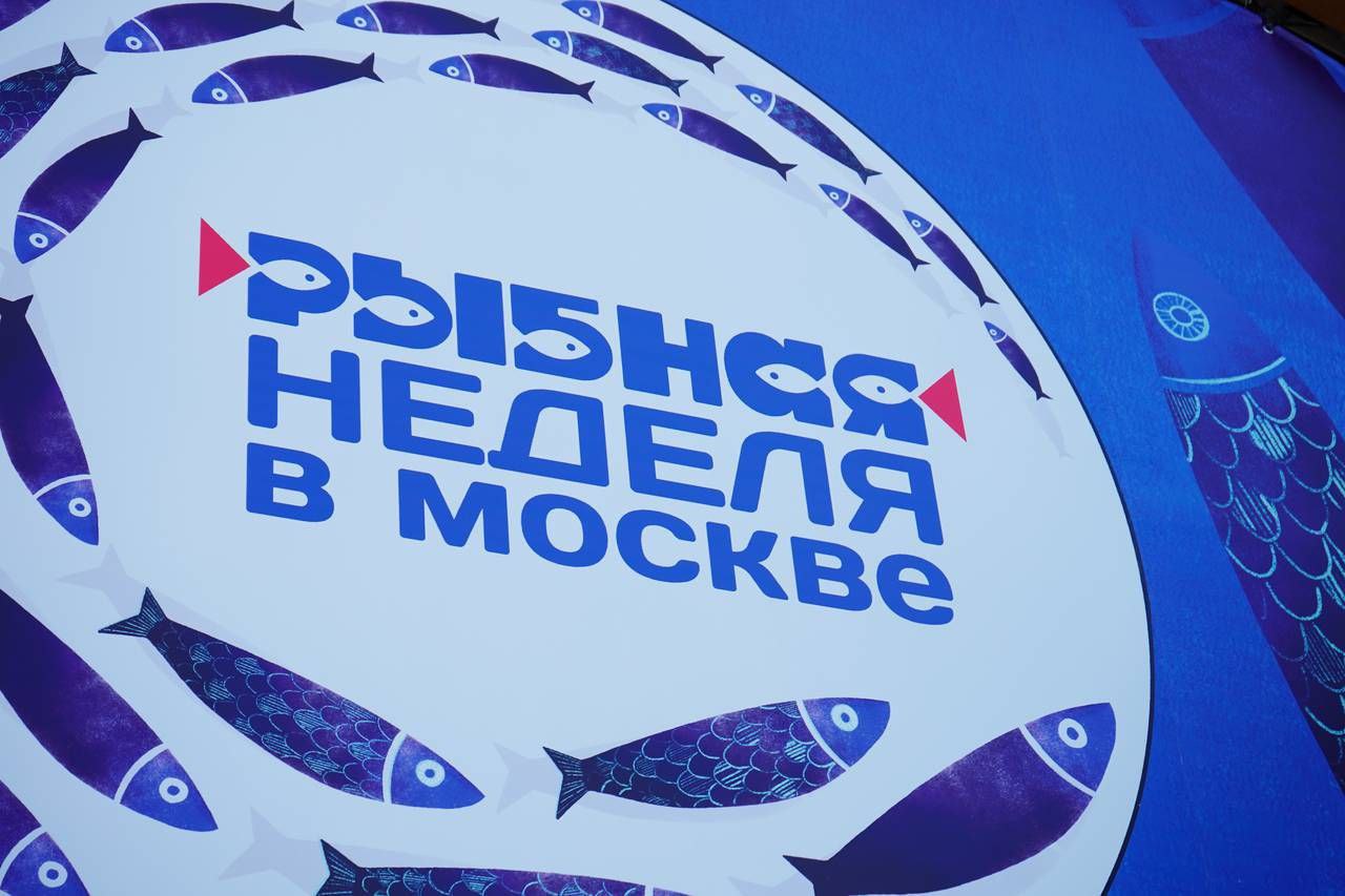 Карпы кои и форма моряков: как оформили площадки фестиваля «Рыбная неделя»