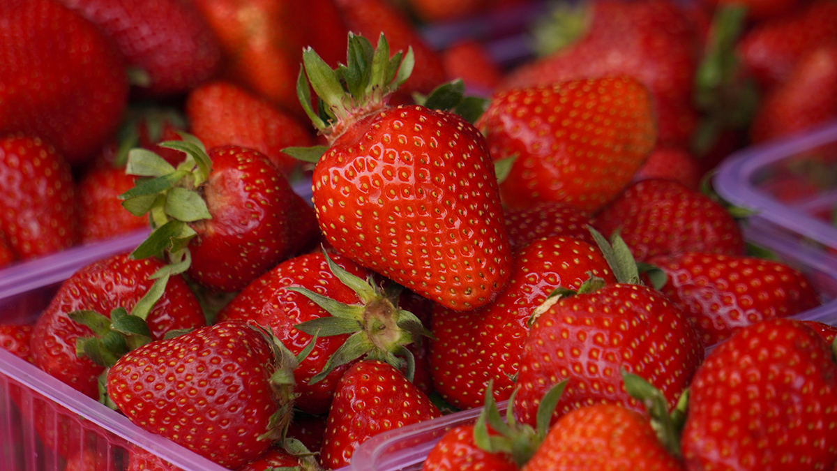 Клубничный бум: первые российские ягоды поступили на ярмарки выходного дня в ЮАО