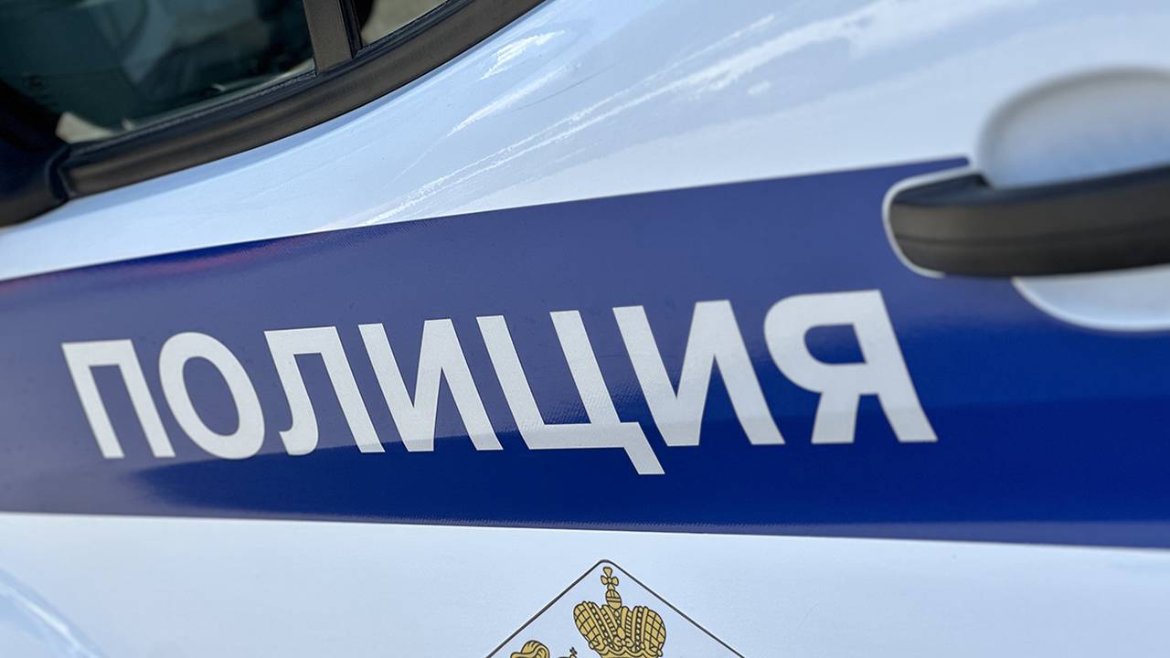 Полицейскими УВД юга столицы задержан подозреваемый в краже