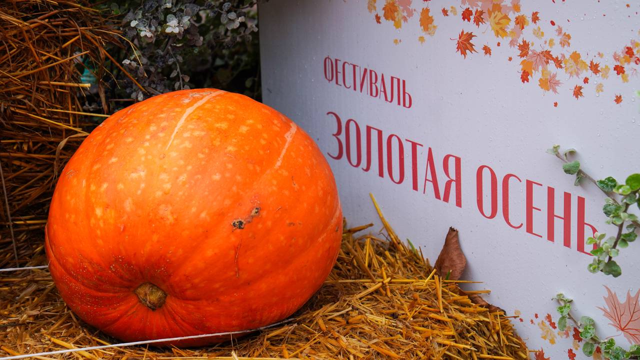 Стихотворения и блюда в печи: какие мероприятия пройдут в эти выходные на фестивале «Золотая осень» в ЮАО